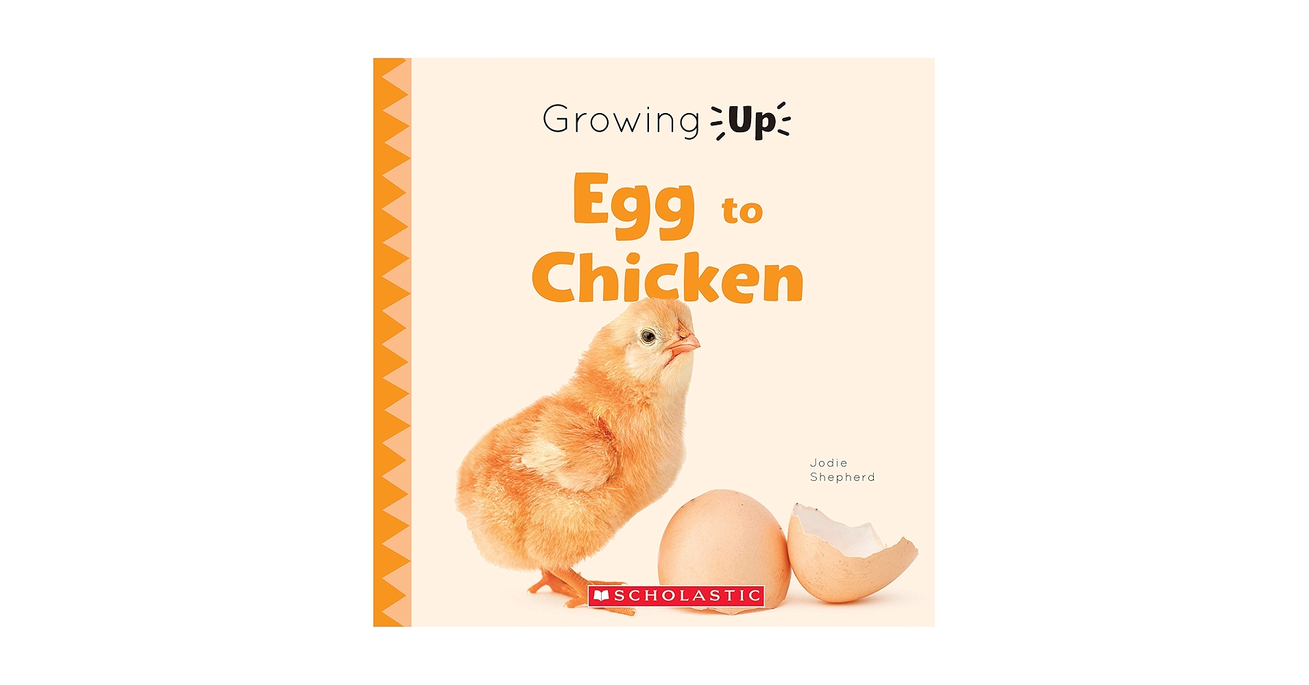 Amazon.com: Egg to Chicken (Growing Up): 9780531136959