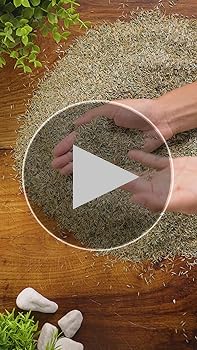 Gro-Sure Smart Lawn Seed (40sqm) - Garden Centre