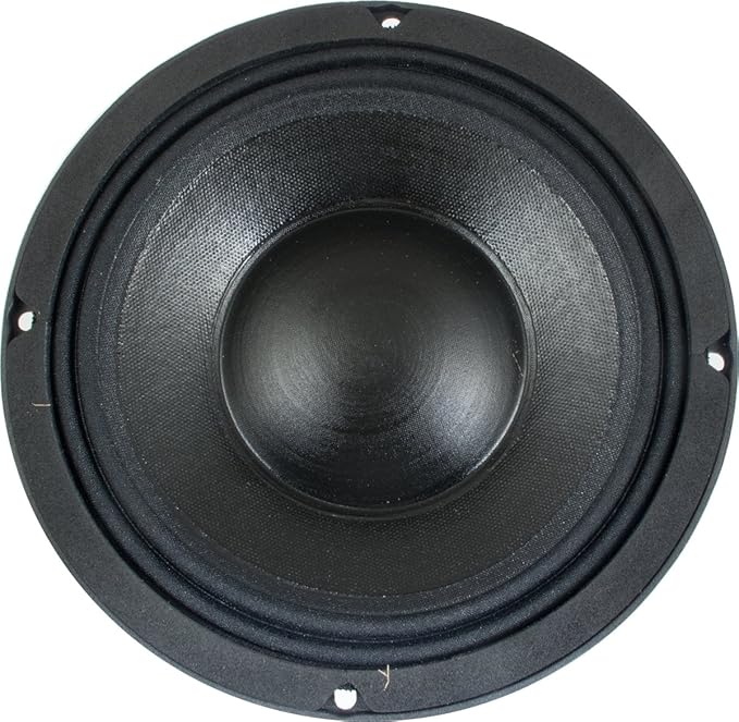 Altavoz Jensen BS 8N 8 pulgadas 250W 8 ohmios miniatura 4