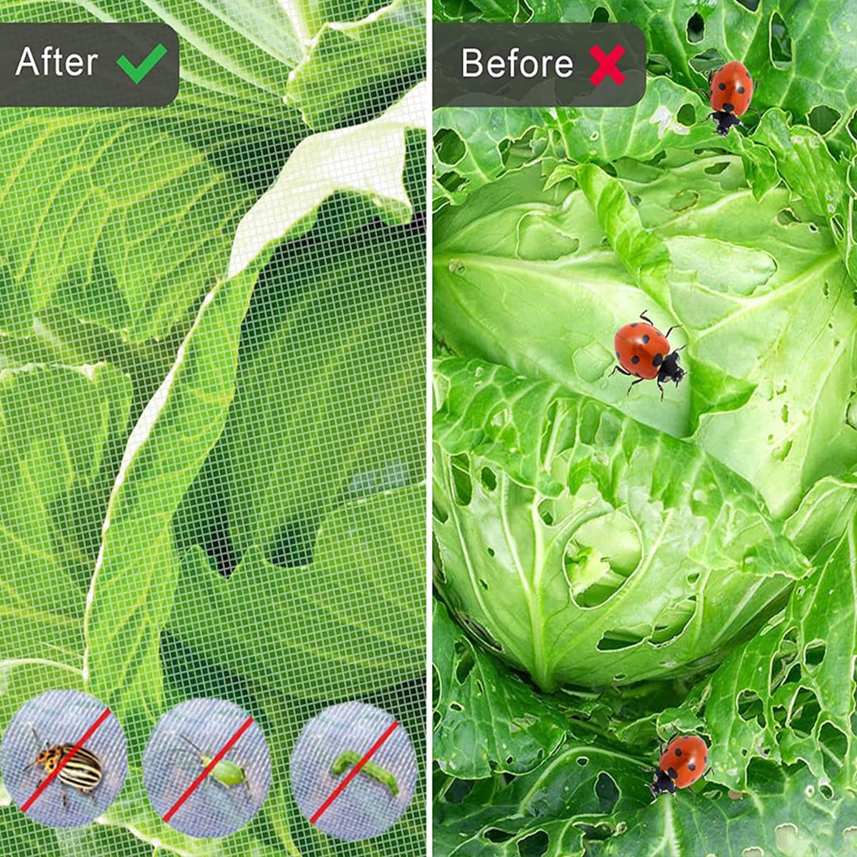 Filet Anti Insecte Professionnel pour Potager Arbre Fruitier Jardin Piscine, 0.5mm/0.7mm, Filet de Protection des Moustiques, Blanc(0.7mm,2.5m x 40m)