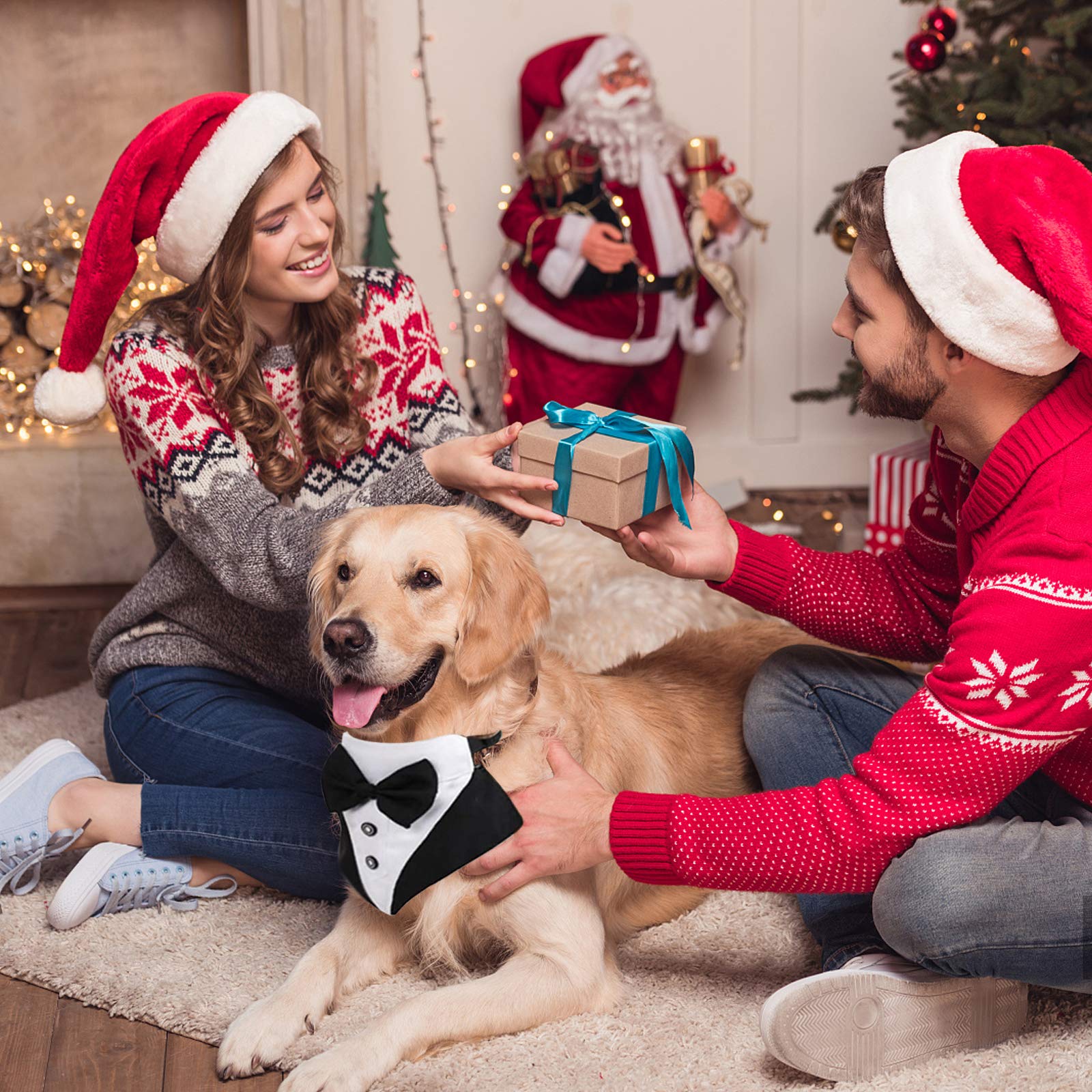 WANDIC Bandana Collare Smoking per Cani Regolabile 1 Pezzo Formale Matrimonio