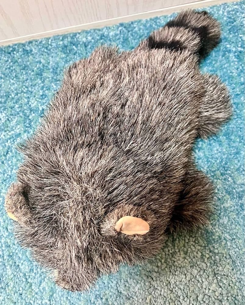 Amazon.co.jp: フォークマニス アライグマ ハンドパペット