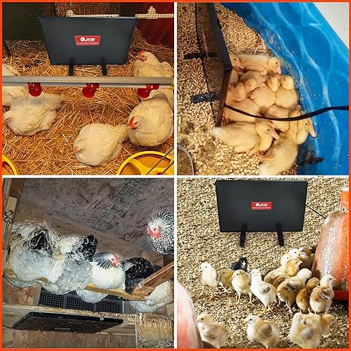 Miniatura 5 de Petnf - Calentador de gallinero de 140 vatios con calor radiante para gallinas, diseño eficiente de la energía, más seguro que el calentador de