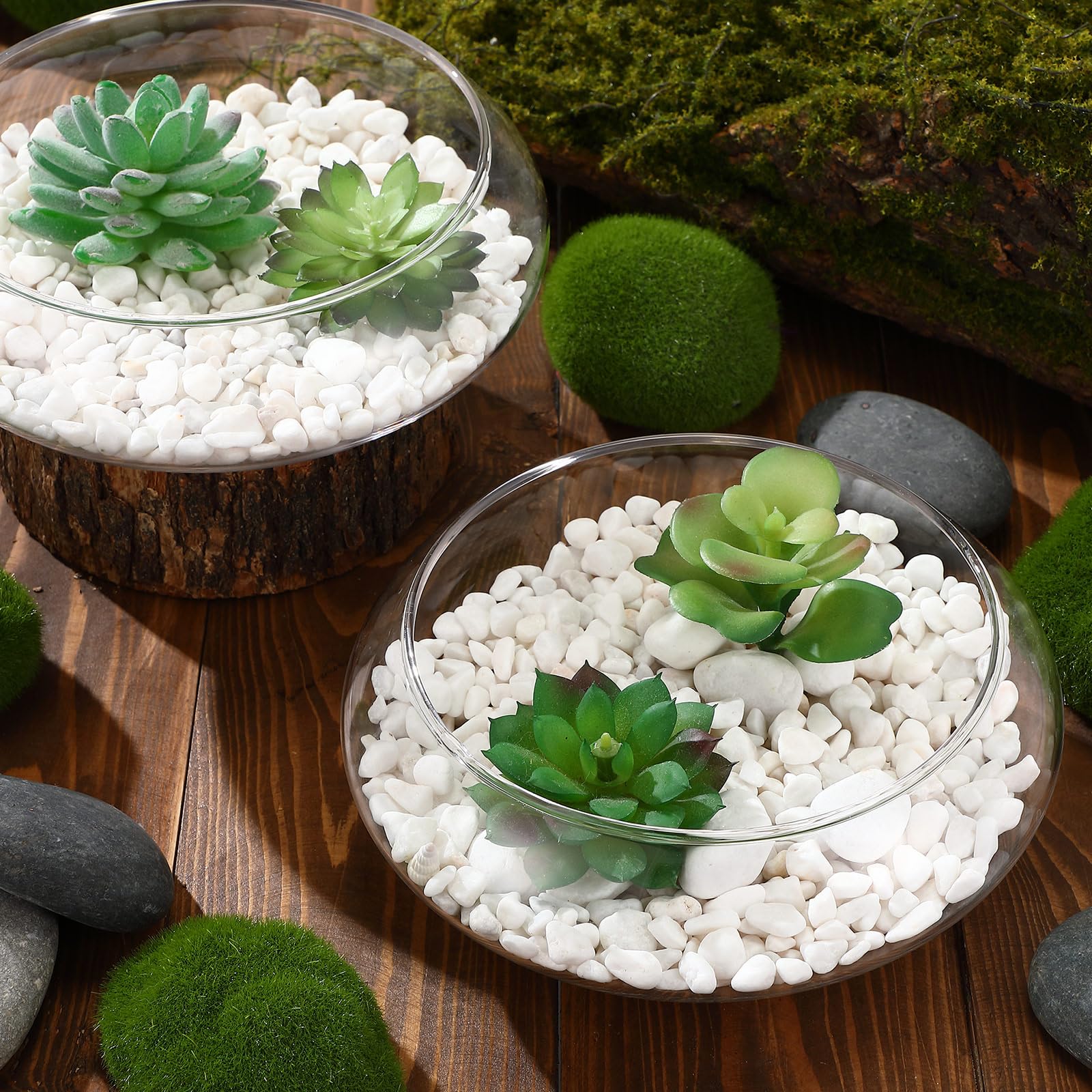Baderke Hydrokultur-Pflanzgefäß, Lotusblumentopf, Pflanzgefäß, Lotusschale, klares Glas, Fischschale, Vase zum Bepflanzen von Innenräumen, Heimdekoration, Seerose, Narzissen, Wasserlilie, 6 Stück