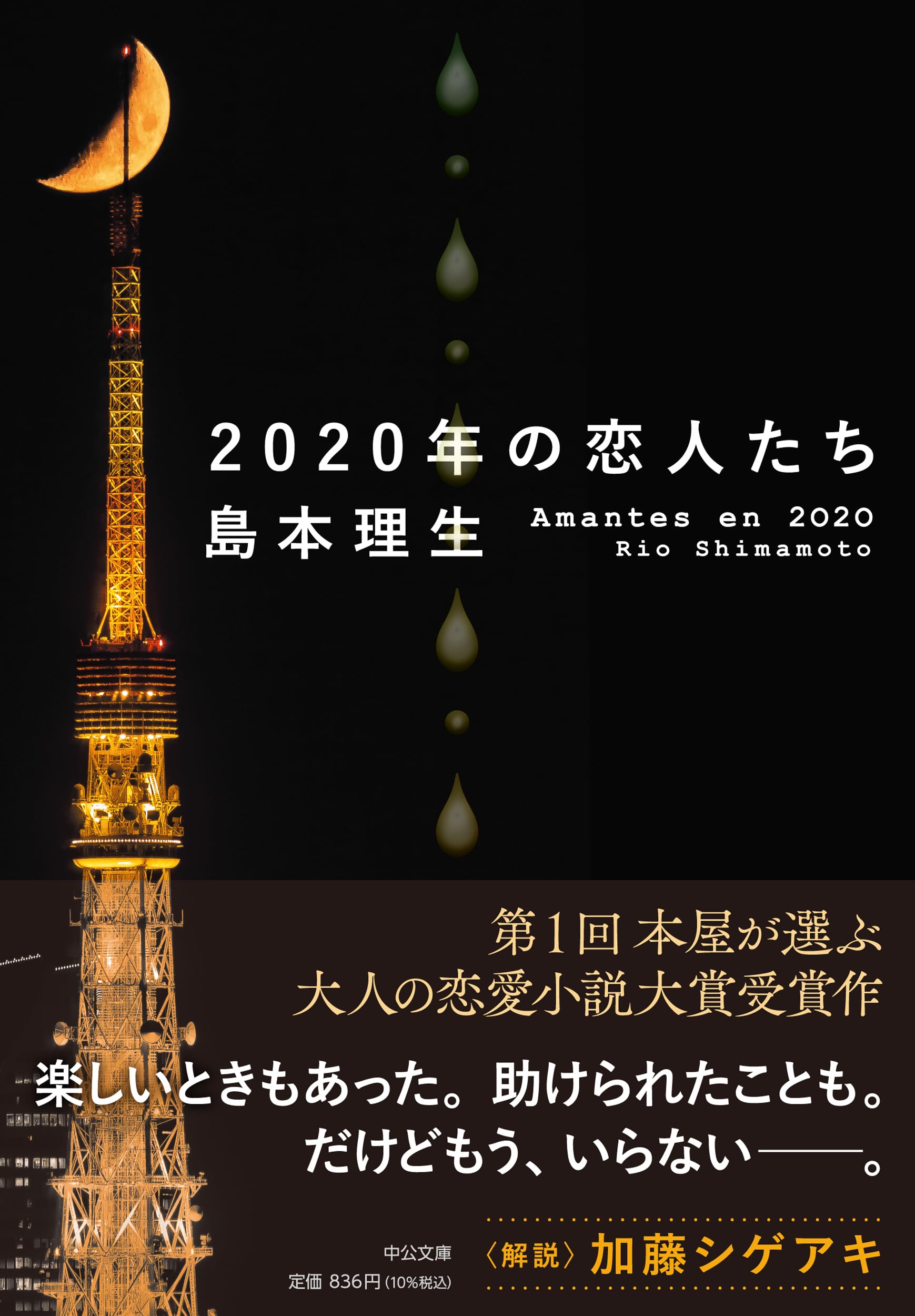 Amazon.co.jp: 2020年の恋人たち (中公文庫 し 46-4) : 島本 理生: 本