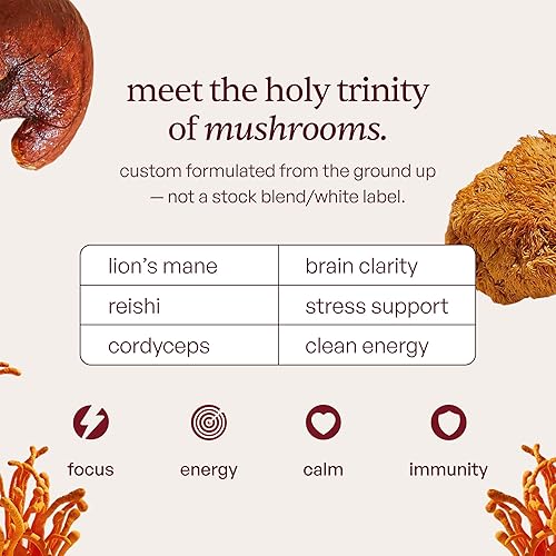 Miniatura 5 de Forest Caps Gomitas de hongos  Melena de León, Reishi y Cordyceps  Enfoque, calma y energía natural  Extractos corporales frutales orgánicos
