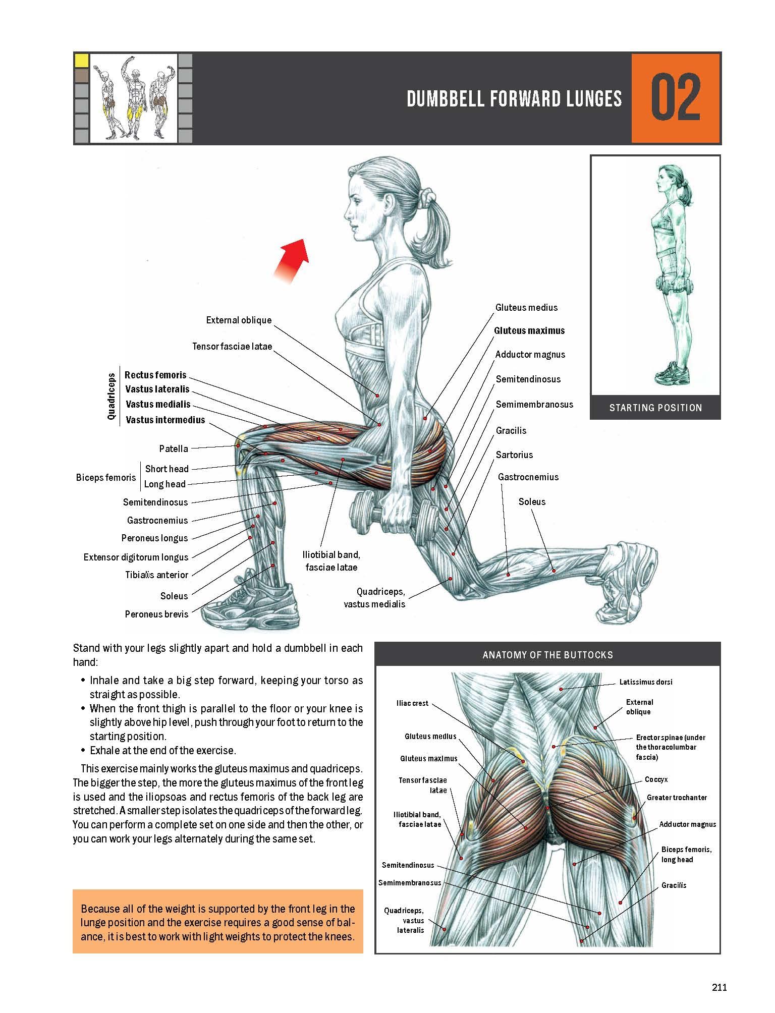 Strength Training Anatomy