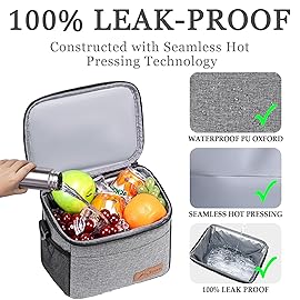 TuErcao 6 Can Mini Soft Cooler Bag for Beach Camping Travel Picnic Road Trip Leakproof Small Ice Chest, Insulated Cooler Lunch Box for Men Work, Light Grey