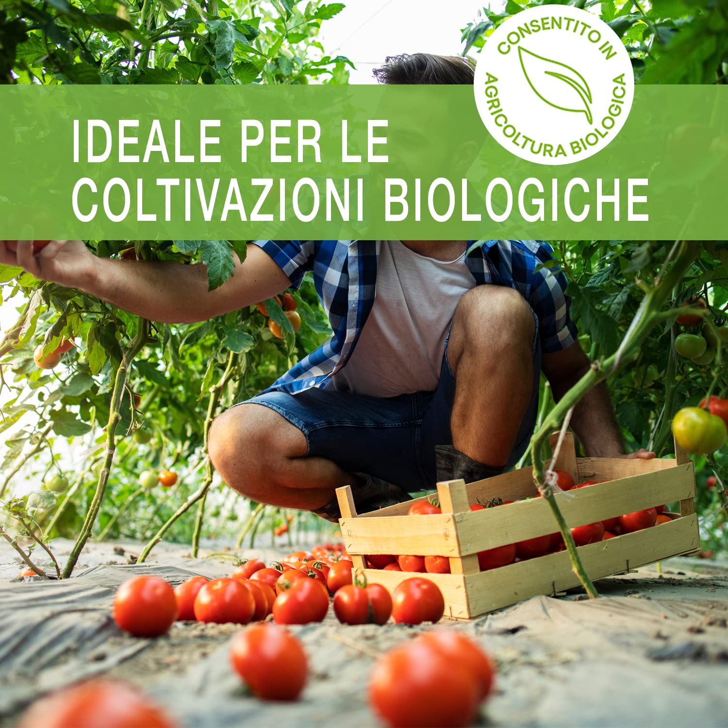 Sapone Molle di Potassio 1L + Olio di Neem 1L 100% Concentrato Puro Vegetale