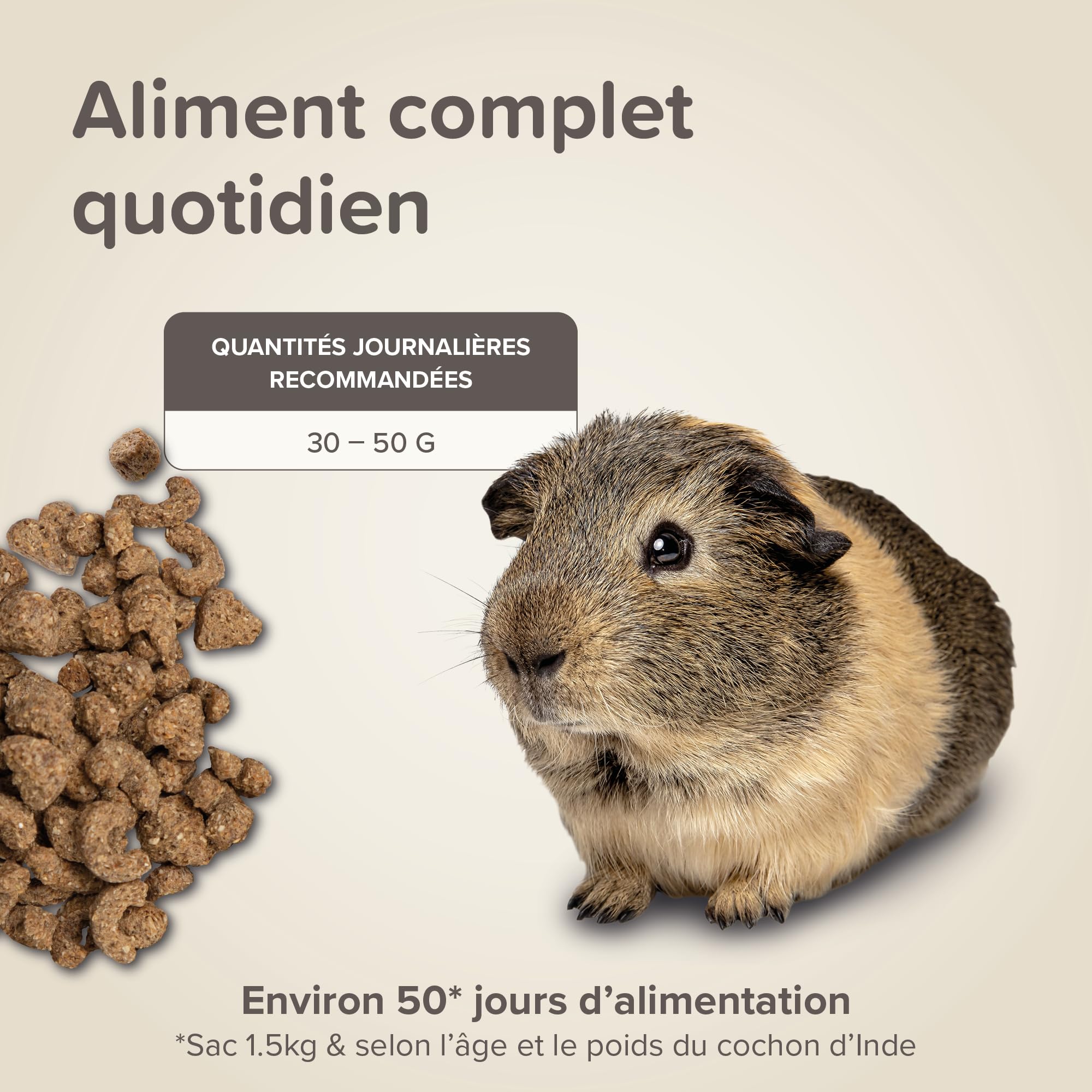 BEAPHAR – Care+ – Alimentation Super Premium extrudée pour Cochon d'Inde – Contient de la Vitamine C et 21% de Fibres – sans sucres ajoutés – 1.5kg,Lot de 1