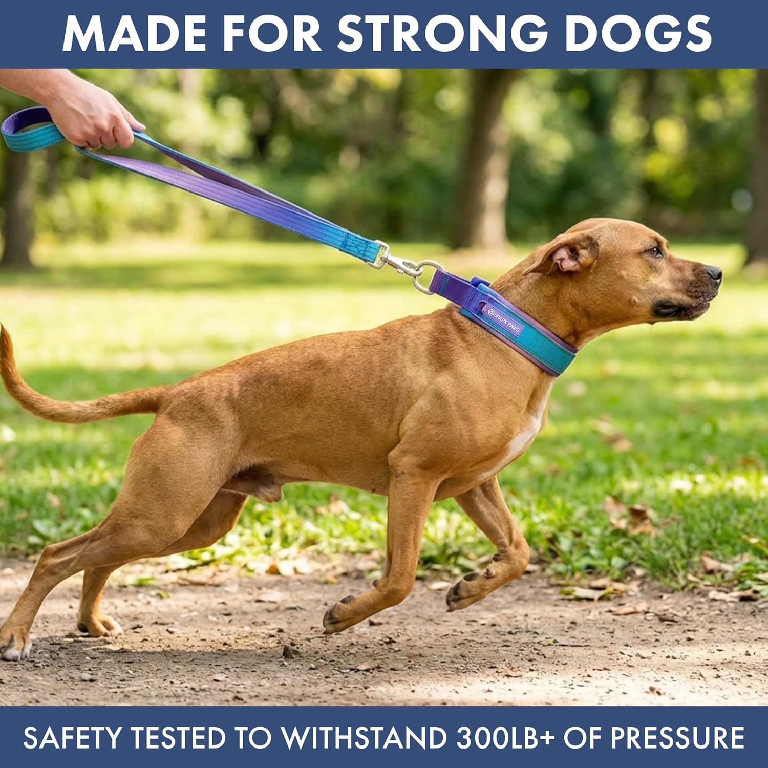 Spark Paws Martingale Dog Collar – Cushioned Slip-On Training Collar, Heavy Duty, Safety-Tested No-Buckle Collar for Medium & Large Dogs - 90s Retro - E