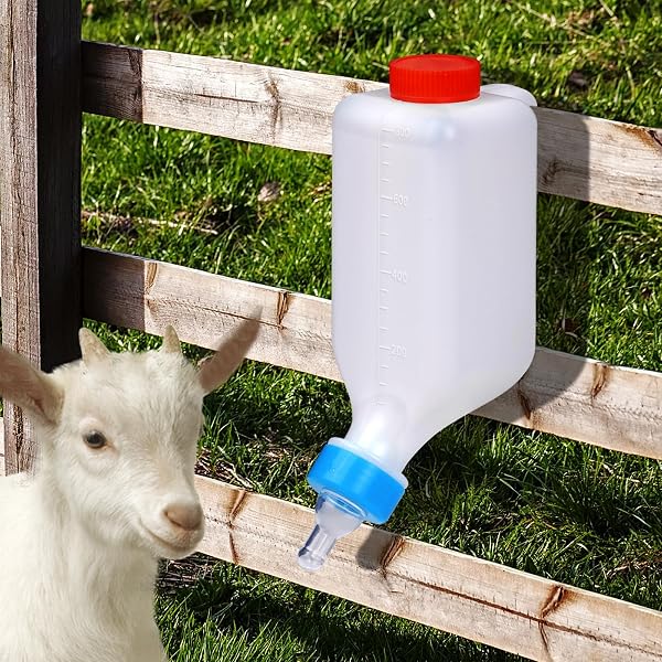 3 Packs Biberon d'agneau & Chèvre 1L - Seau à Lait en Bouteille pour Allaitement d'Agneaux & Bébé Chèvre - Système de Boisson Suspendue - Biberon Chevreaux 1000ML (3 Pieces - 1L) - 2