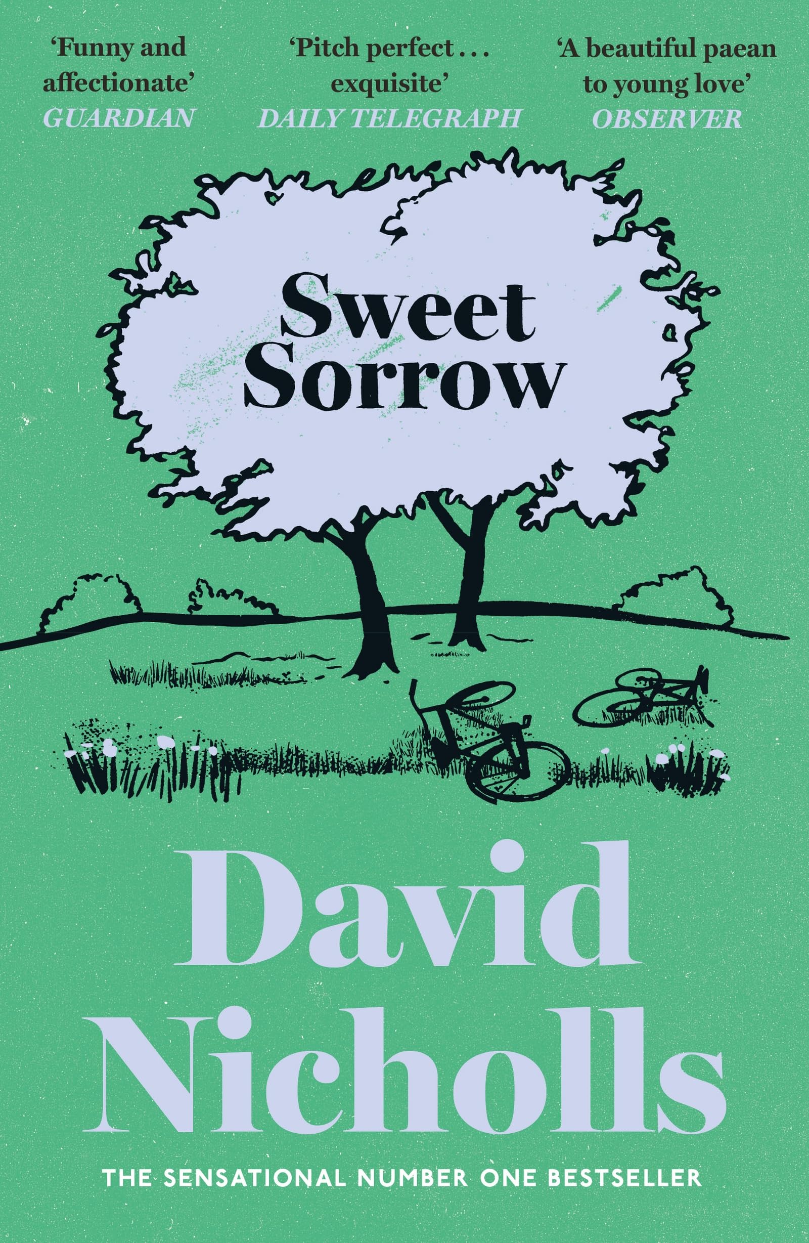 Sweet Sorrow: The Sunday Times bestselling novel of first love from the author of ONE DAY and YOU ARE HERE