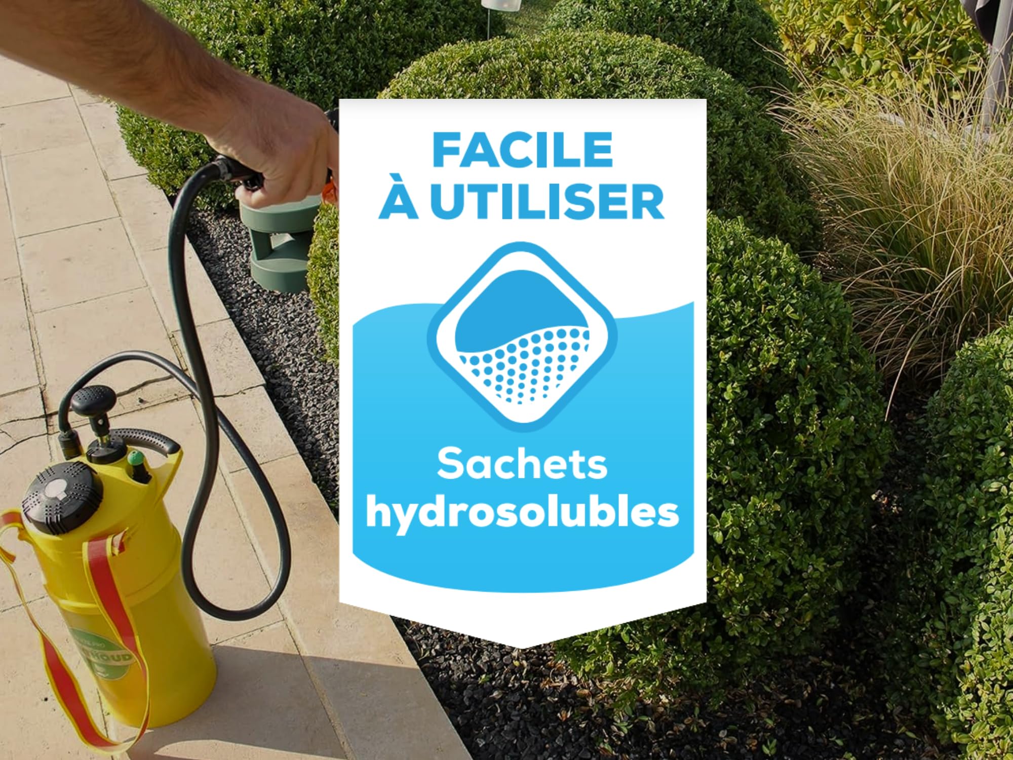 SOLABIOL 2 Traitements Pyrale du Buis Au Bacillus Thuringiensis (BTK) - Action Choc sur Larves et Chenilles - 12 Sachets Hydrosolubles - 30g - Utilisable en Agriculture Biologique SOPYRAL15X2