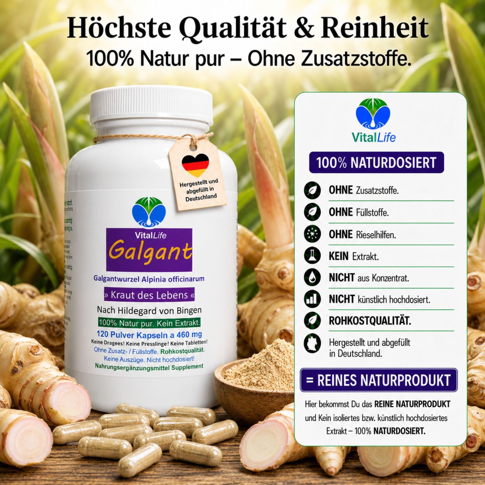 Galgant Galgantwurzel Siam-Ingwer 360 (3x120) Kapseln BITTERSTOFFE & SCHARFSTOFFE nach Hildegard von Bingen KRAUT DES LEBENS für Verdauung & gutes Bauchgefühl. NATUR PUR ohne ZUSATZSTOFFE. 26875-3