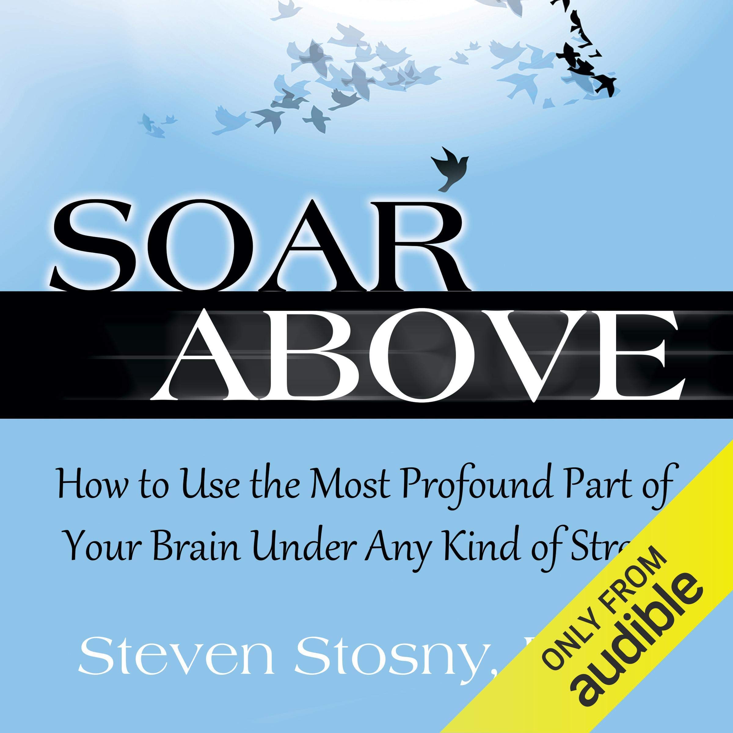 Cover art for Soar Above