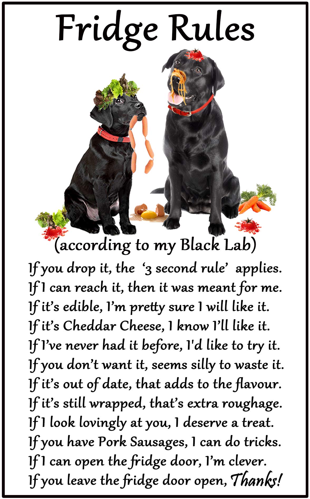 Fridge Magnets Black Labrdor Gift - Fridge Rules - Large Fun Flexible Size 16Cms X 10 Cms (Approx. 6" X4")