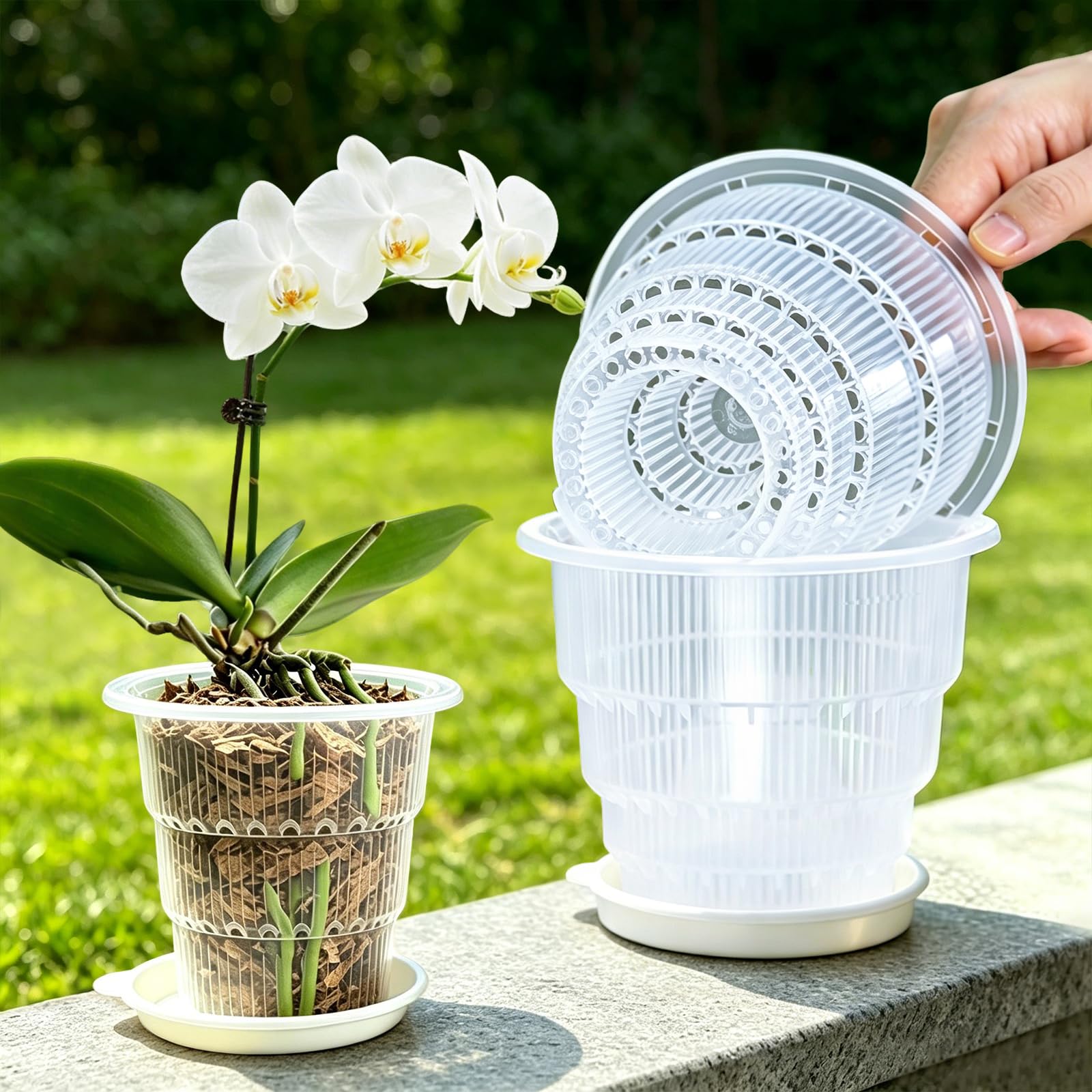 Meshpot 6 Inch Clear Orchid Pots with Holes and Saucers Orchid Planter for Home Decoration - 4 Pack