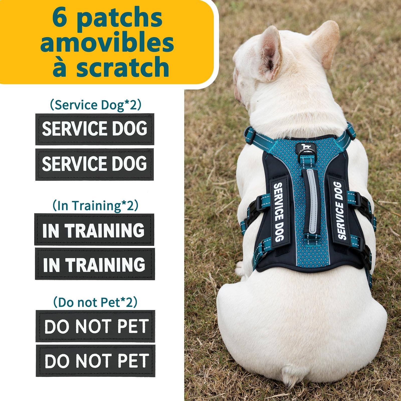 Huntboo Harnais Chien d’Assistance avec 6 Écussons, Harnais Anti Traction pour Chien avec Poignée, Harnais Anti Fugue Chien, Réfléchissant et Réglable, pour Dressage et Promenade (Bleu Sarcelle,L)