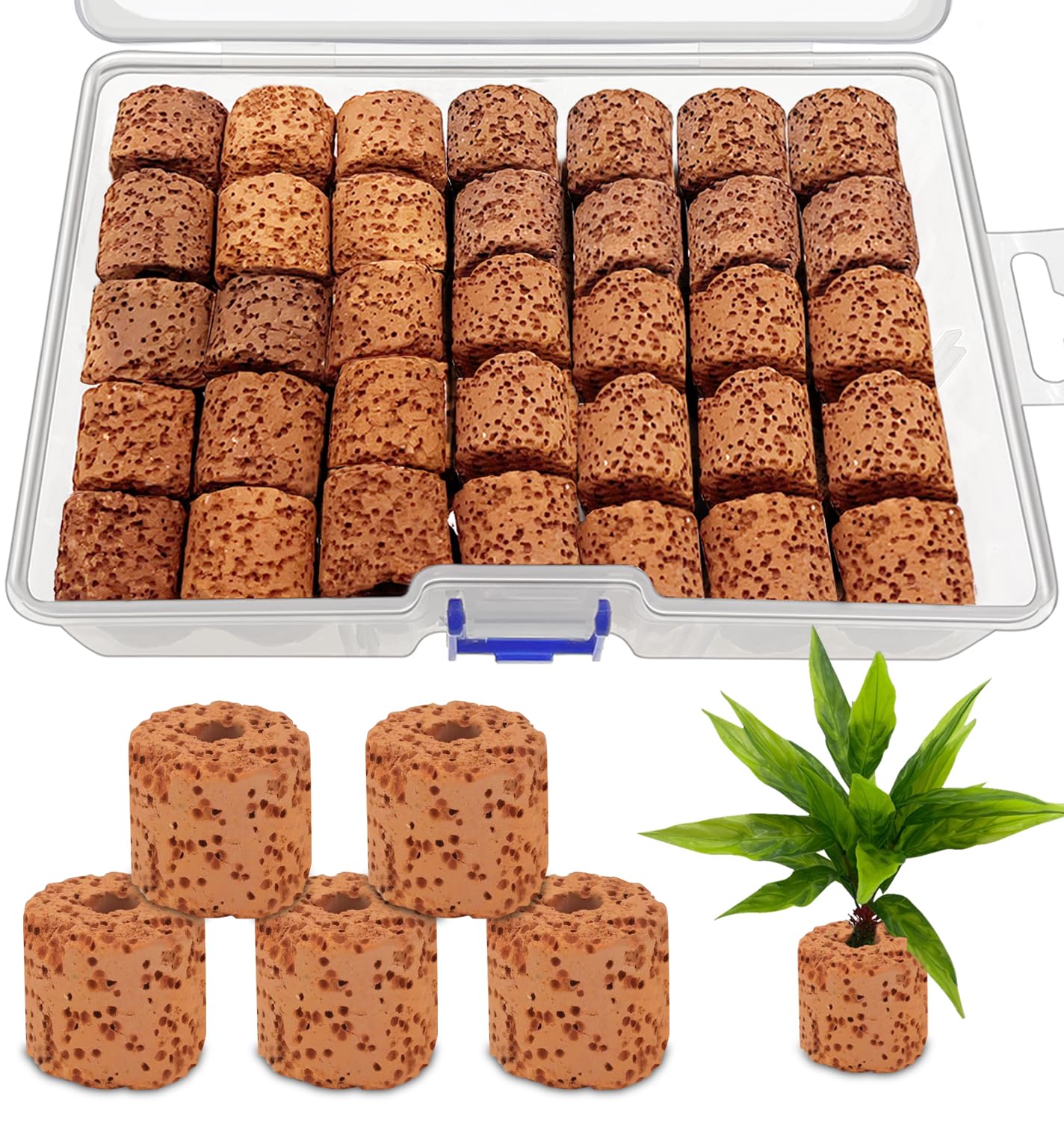 GZLCEU 50 anillos de cerámica para acuario, 2,2 x 2 x 0,6 cm, anillos de cerámica con caja para estanques, tanques de acuario, flora acuática, paisajismo, fijación de plantas acuáticas