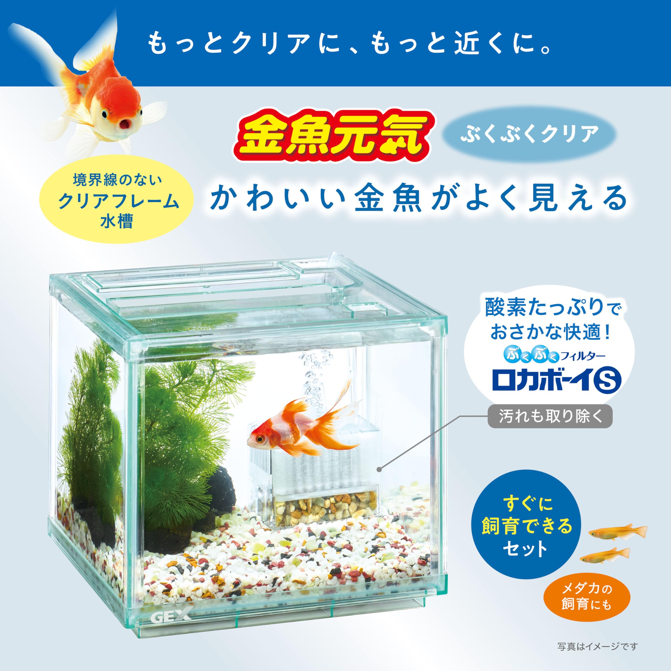Amazon.co.jp: ジェックス GEX 金魚元気 ぶくぶくクリアセット