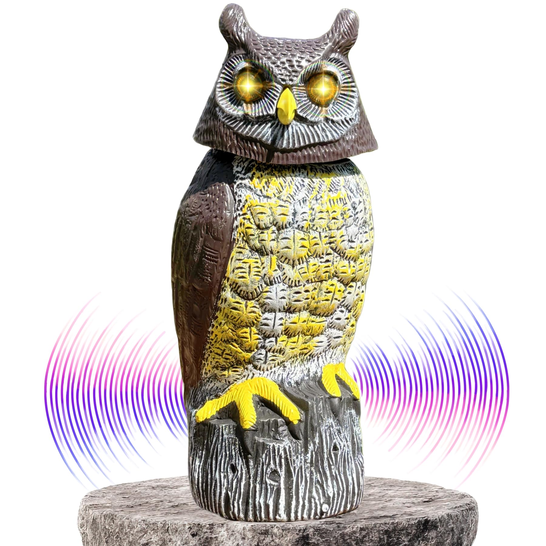 Amazon.com: Owlery Large Solar Owl with Motion Detector, Flashing