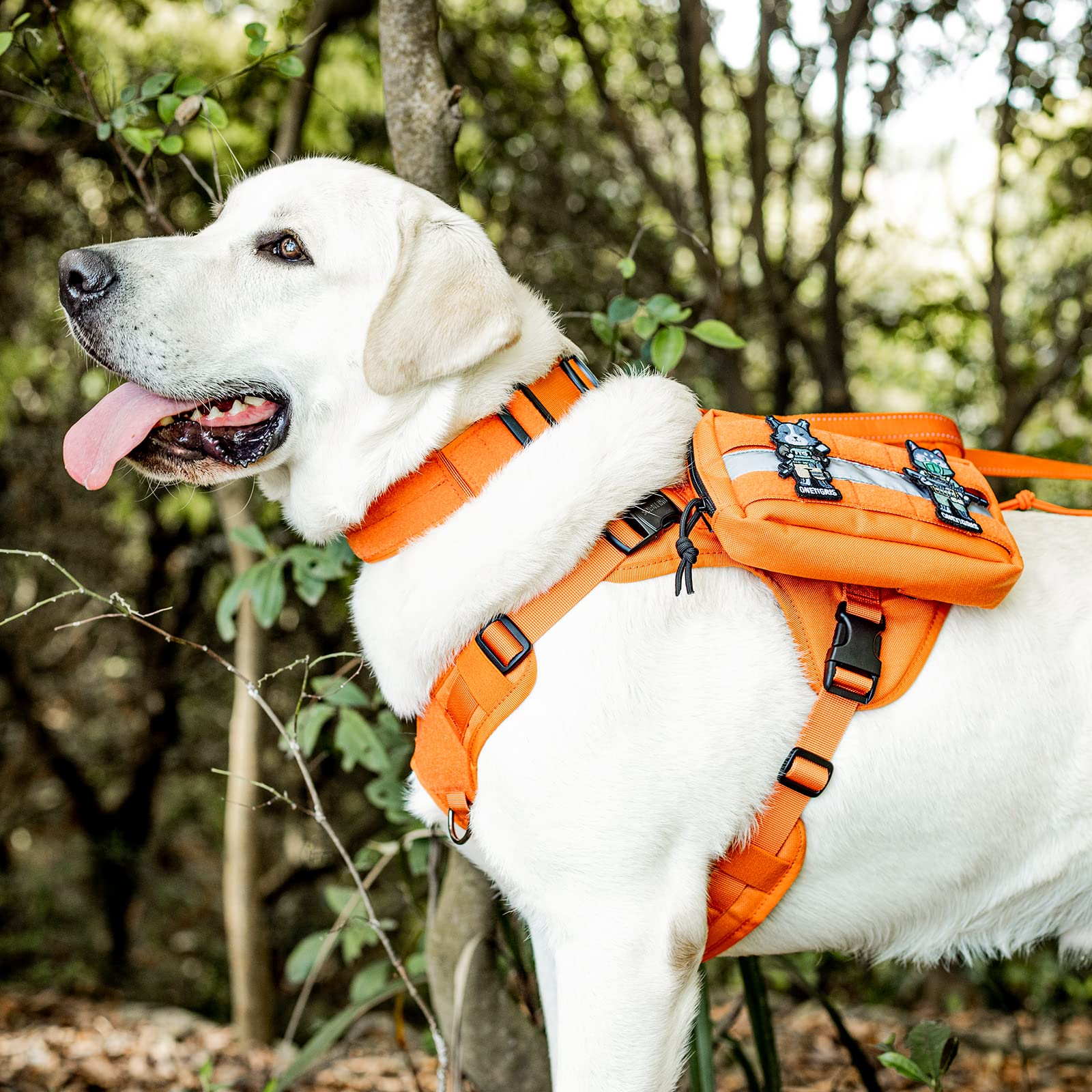OneTigris Borsa da sella per cani da servizio, supporto emotivo, cane da servizio in addestramento, borsa da sella di qualità per gilet tattici per cani (arancione)