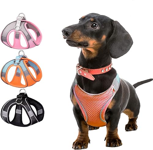 SIMENA Arnés y correa para perros y gatos arnés de doble color para perros con bandas reflectantes arnés suave y transpirable para gatos naranja S