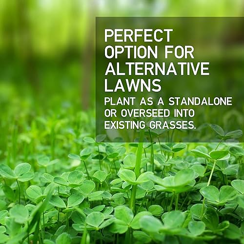 Miniatura 5 de Hancock Seed Co, Micro Clover Seed, bolsa de 5 libras