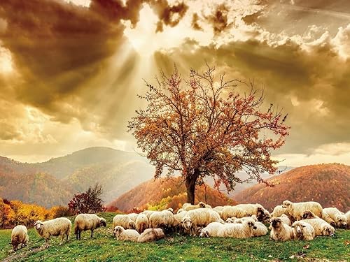 Fondo de fiesta de paisaje de paisaje de árbol de ovejas y cielo de otoño de 7x5ft