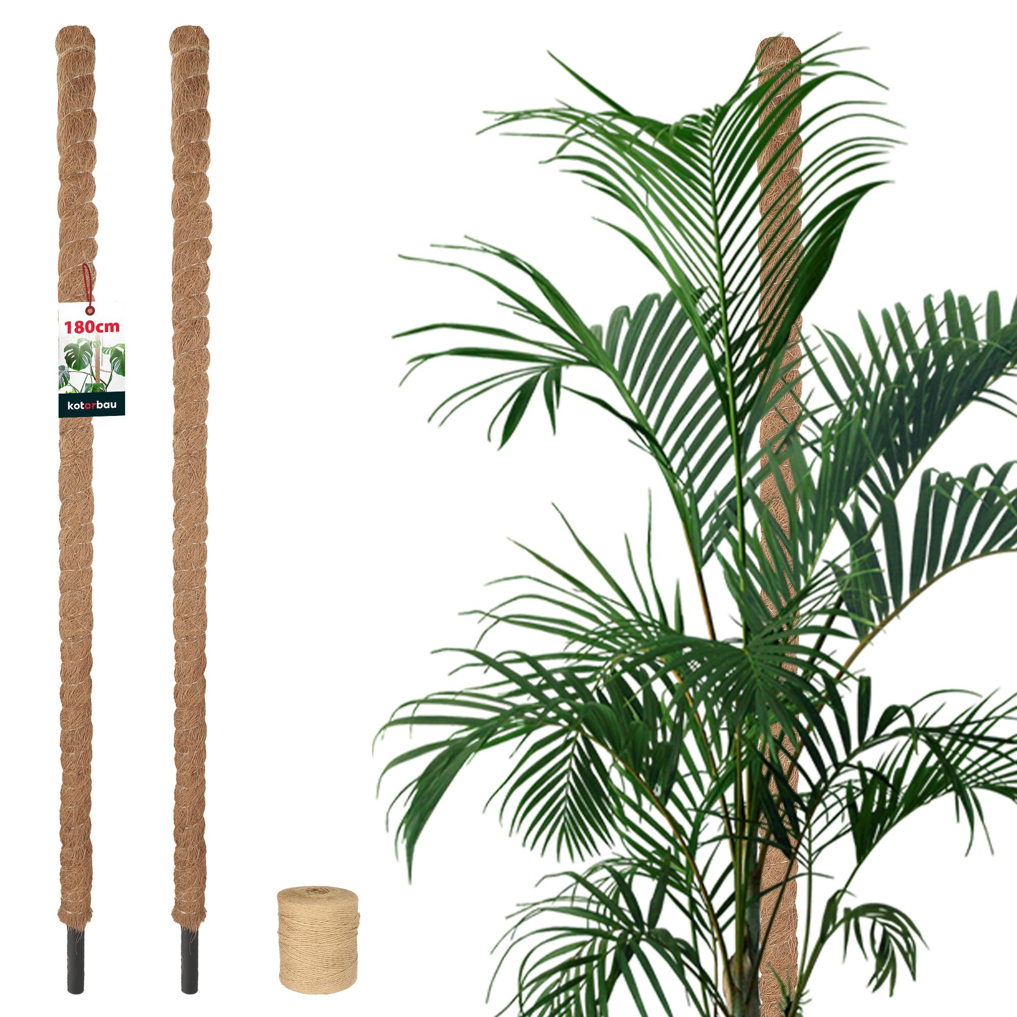 Tuteurs pour monstera KOTARBAU en coco pour sublimer votre salon