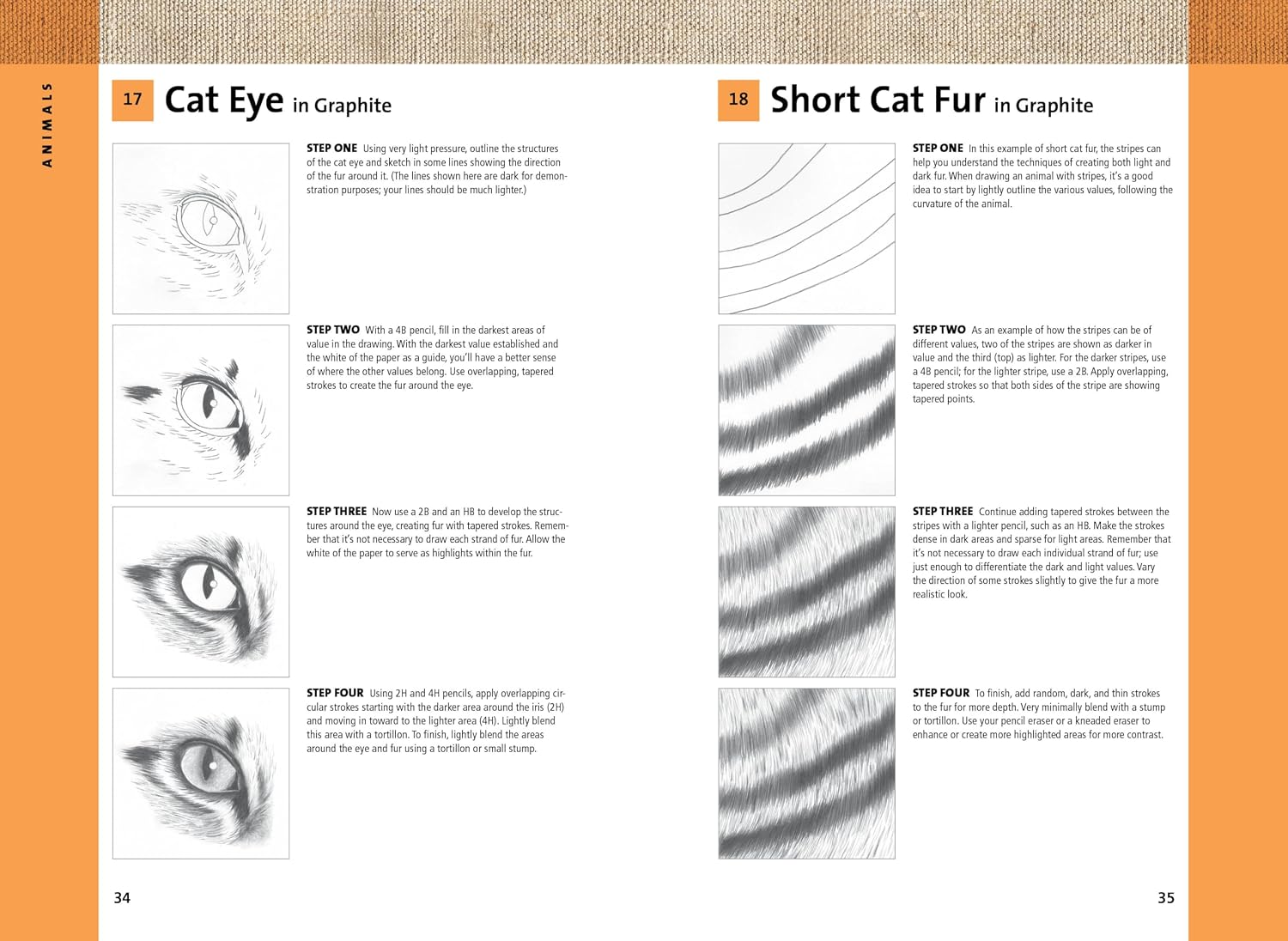 101 Textures in Graphite & Charcoal: Practical step-by-step drawing techniques for rendering a variety of surfaces & textures
