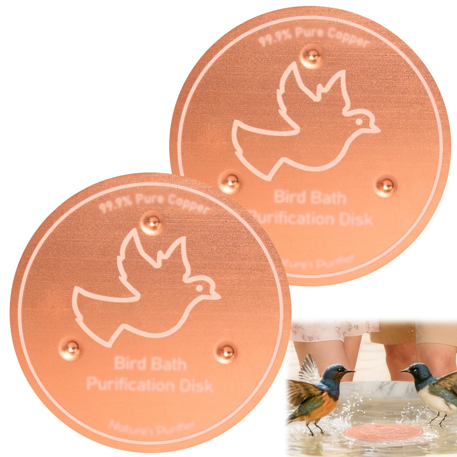 WEXFFU 2 PCS Bird Bath Copper Disk, 0.6mm Reinforced 99.99% Pure Copper Cleaning Disk with Triple-Point Support, Bird Bath Purification Disk, Universal Fit for Outdoor All Birdbaths & Bowls