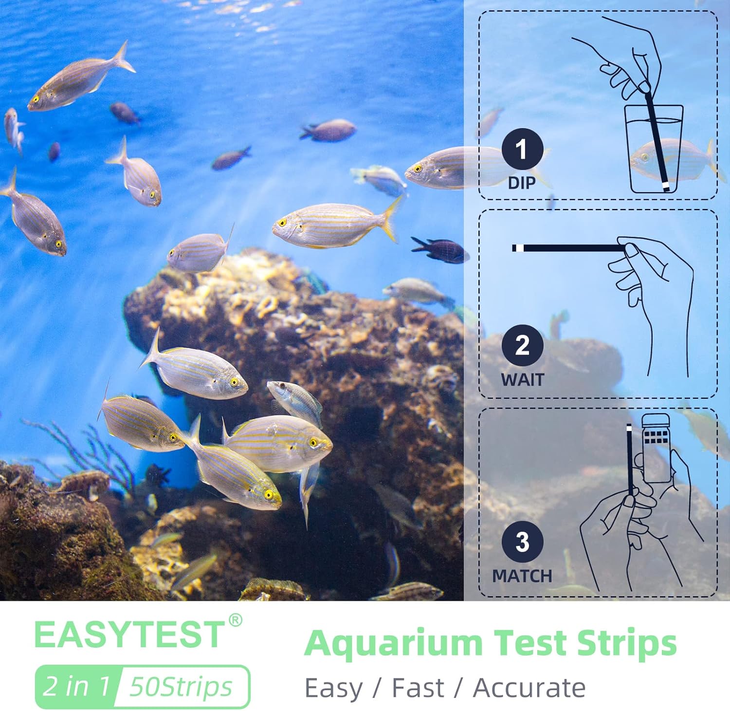 Buy 50 Strip] Ammonia Test Kit for Aquarium, [Freshwater and Saltwater