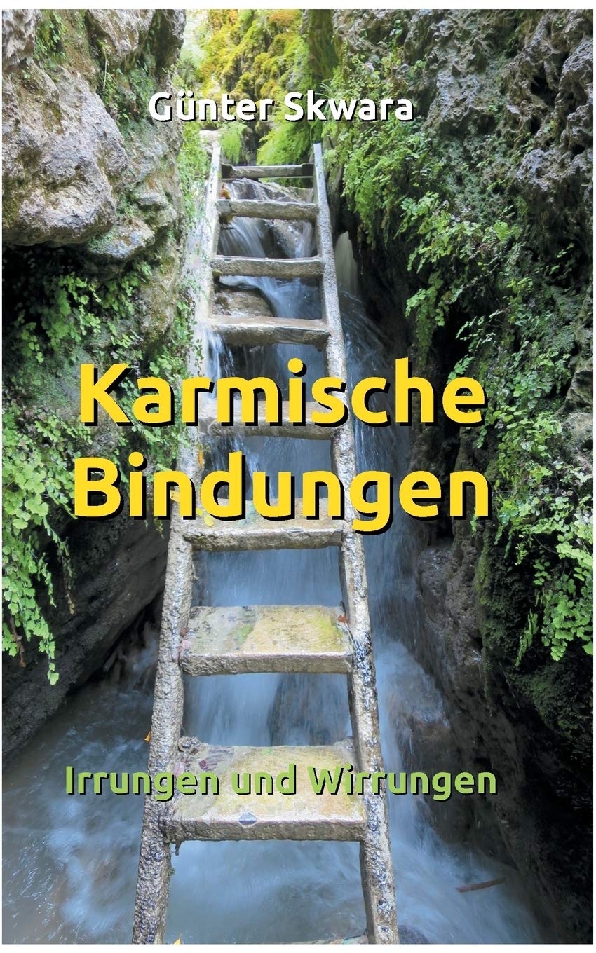 Karmische Bindungen: Irrungen und Wirrungen (German Edition)