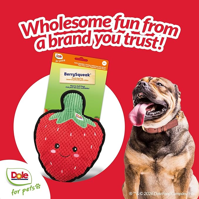 Juguetes para perros pequeños y medianos, fresa quechante de peluche miniatura 7
