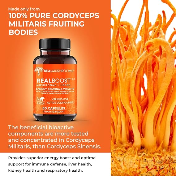 Real Mushrooms RealBoost (60ct), Lions Mane (120ct), Cordyceps & Turkey Tail Mushroom Powder & Capsules Bundle - Mushroom Supplement for Energy, Vitality, Endurance & Cognition - Vegan, Non-GMO