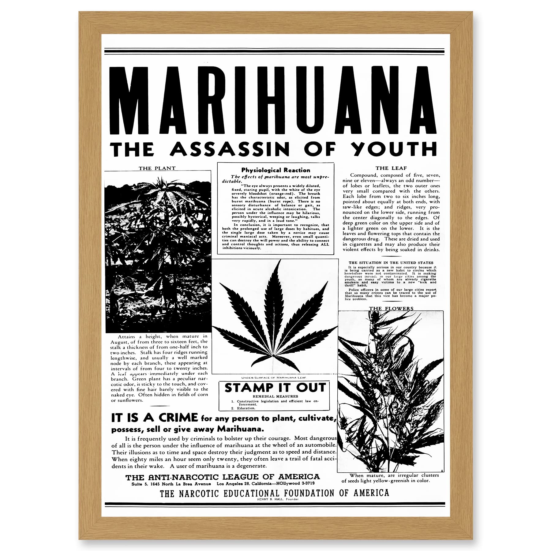 Artery8 Warning Marijuana Weed Cannabis Panic USA Drug Advertising A4 Artwork Framed Wall Art Print