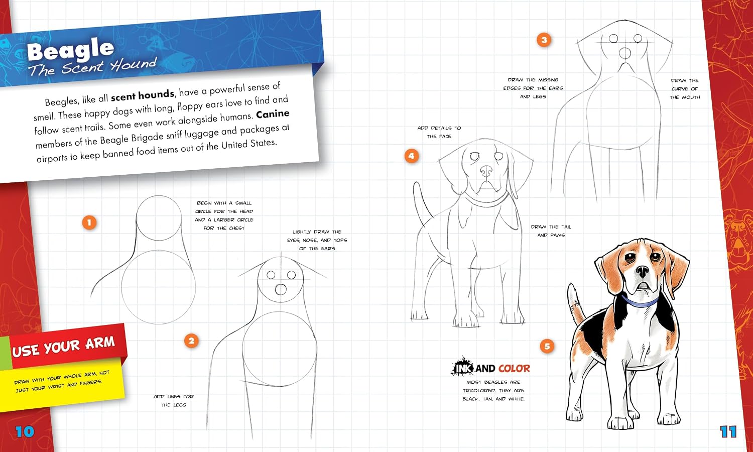 Dogs (You Can Draw It!)