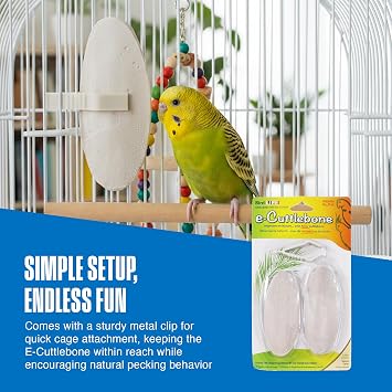 Penn-Plax Bird-Life E-Cuttlebone Natural, 1 Pack (2 Counts) - Durable, Less Brittle Cuttlebones Enriched with Omega 3, Honey & Vitamin B1 - Easy Mounting, Cage Clip - Great for All Bird Sizes - White