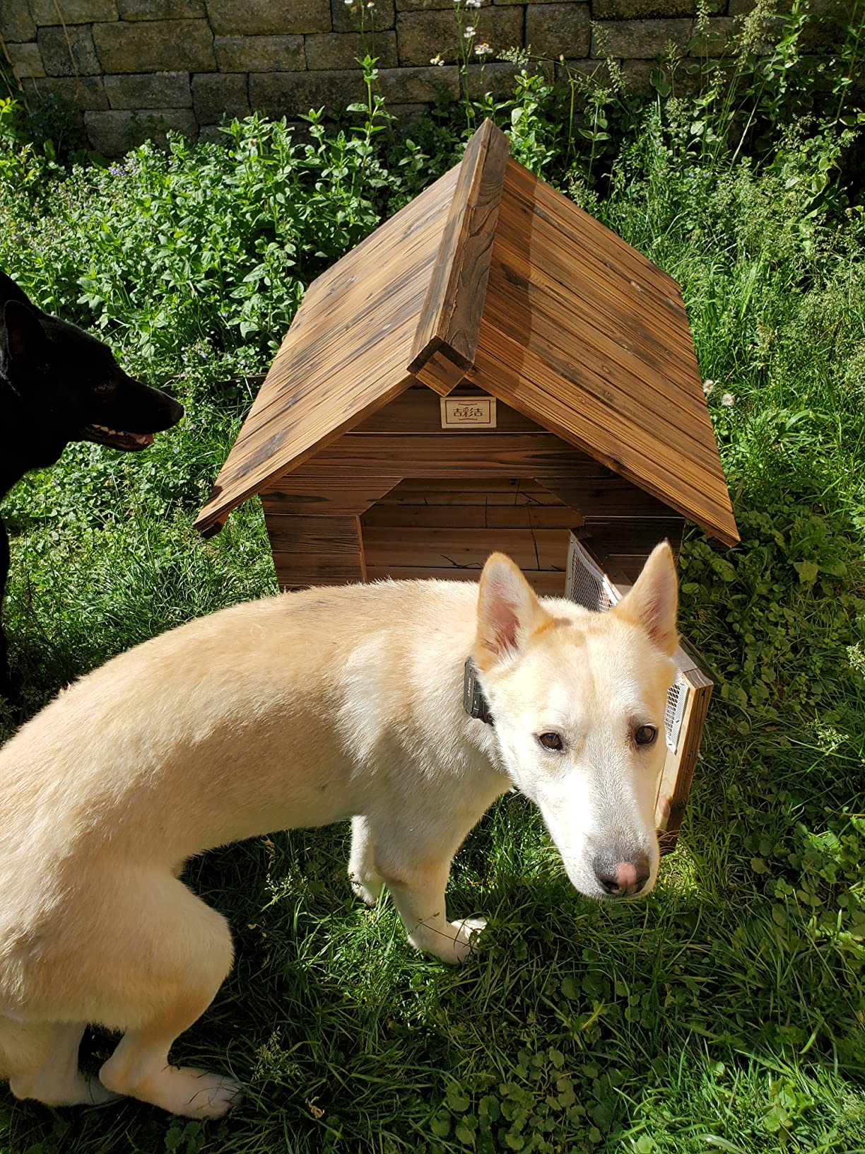 46/mo Finance Dog Kennels for Outside Dog House Wood Outdoor Dog