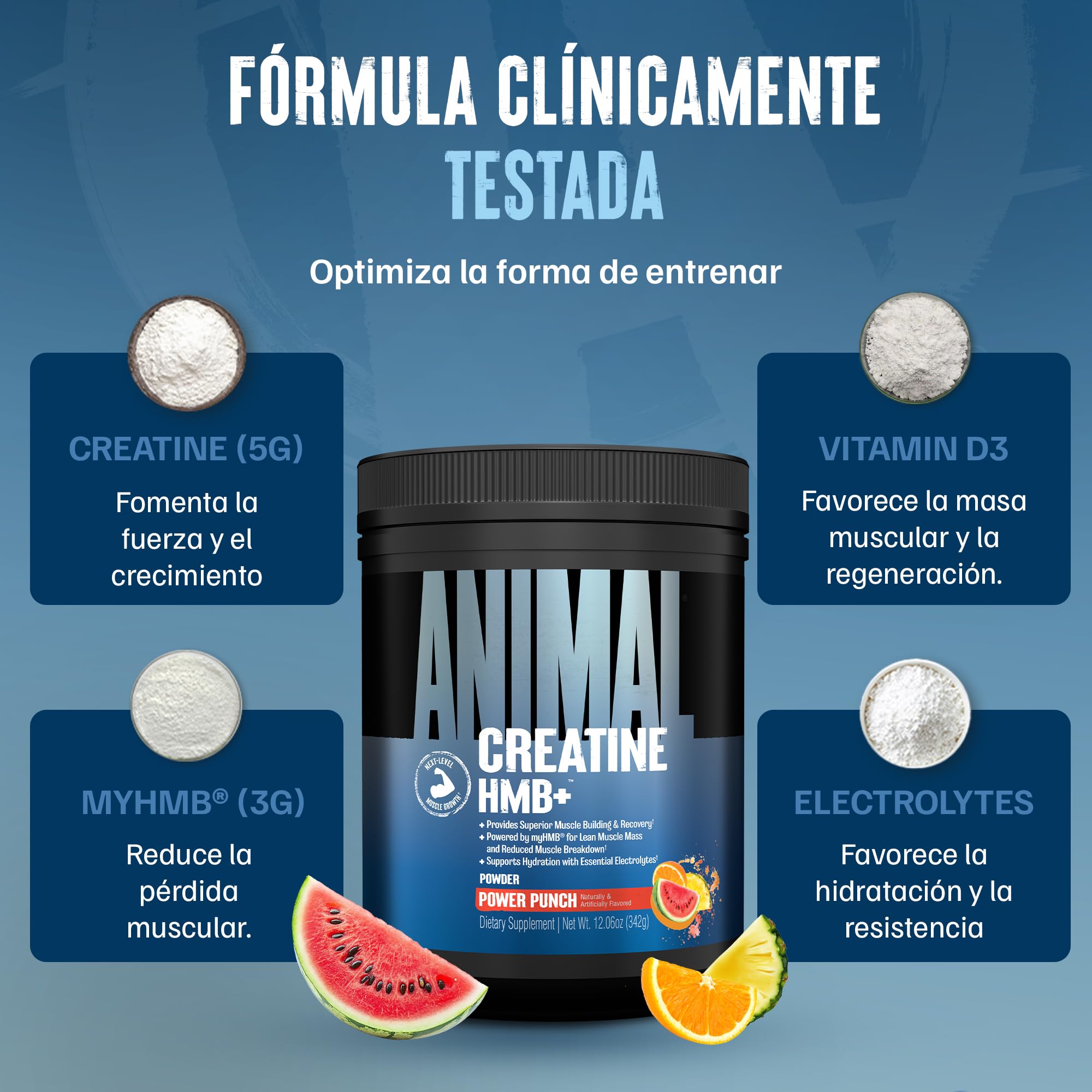 ANIMAL Creatine HMB+ - Creatina monohidrato en polvo con HMB y electrolitos - Favorece el crecimiento muscular, la regeneración y la resistencia - Power Punch, 30 porciones