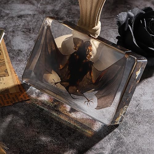 Miniatura 90 de Espécimen de esqueleto de murciélago real en resina para educación científica en el aula, gran regalo para fanáticos de la taxidermia, cráneo