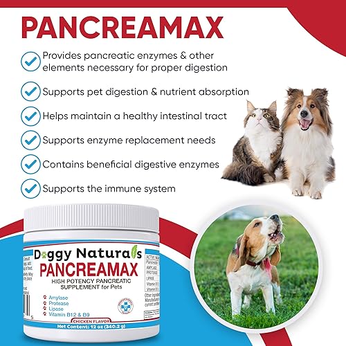 Miniatura 9 de PancreaMax - 10 suplementos de enzimas digestivas pancreáticas para gatos y perros (12 onzas) en polvo (fabricado en Estados Unidos). 10 pancreatina