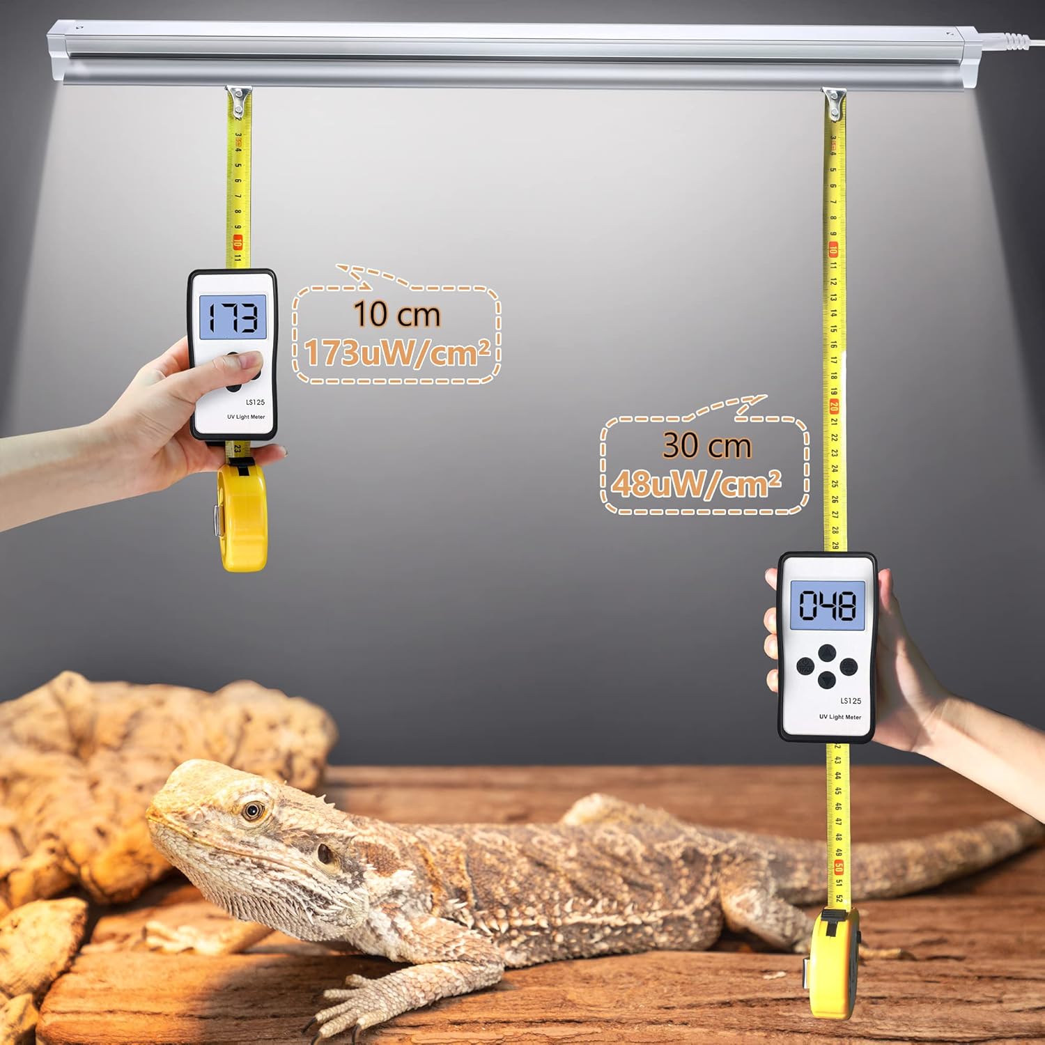 Buy Meonum T5 UVB Reptile Light Fixture for Reptiles T5 HO UVB Lighting