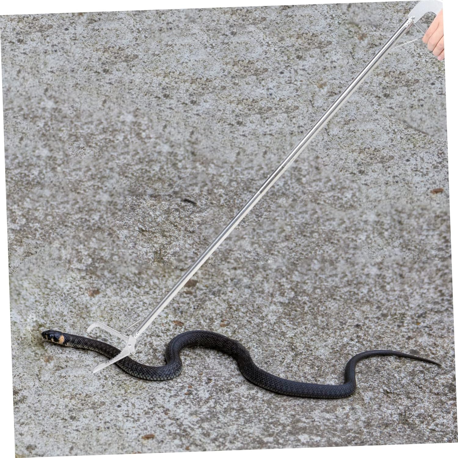 SUPVOX Stainless Steel Snake Tongs Safe Catching Snake Trap Clip Folding Clamp Reptile Tongs Clips Outdoor Tool