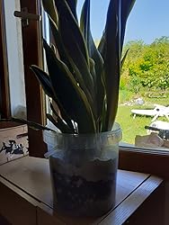 Billes D'Argile Algoflash – 6 L – Diamètre 10-20 Mm – Pour Drainage, Aération Et Paillage Des Plantes En Pot