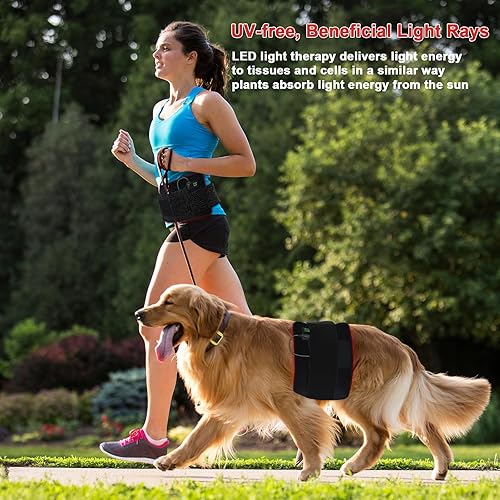 Miniatura 4 de Cinturón de terapia de luz roja, envoltura de terapia de luz infrarroja cercana, terapia de luz roja para rejuvenecimiento de piel corporal, alivio