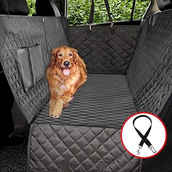 best back seat hammock for dogs