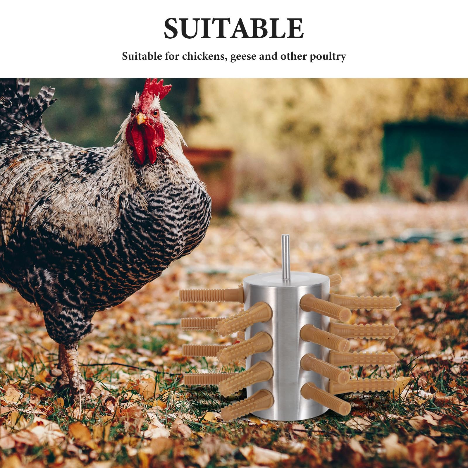 Mikikit Desplumadora de Pollos de Acero Inoxidable 24 Dedos para Aves de Corral, Compacta Procesar Faisanes y Gansos en Espacios Limitados